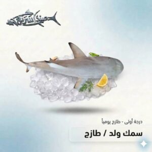 سمك ولد كامل