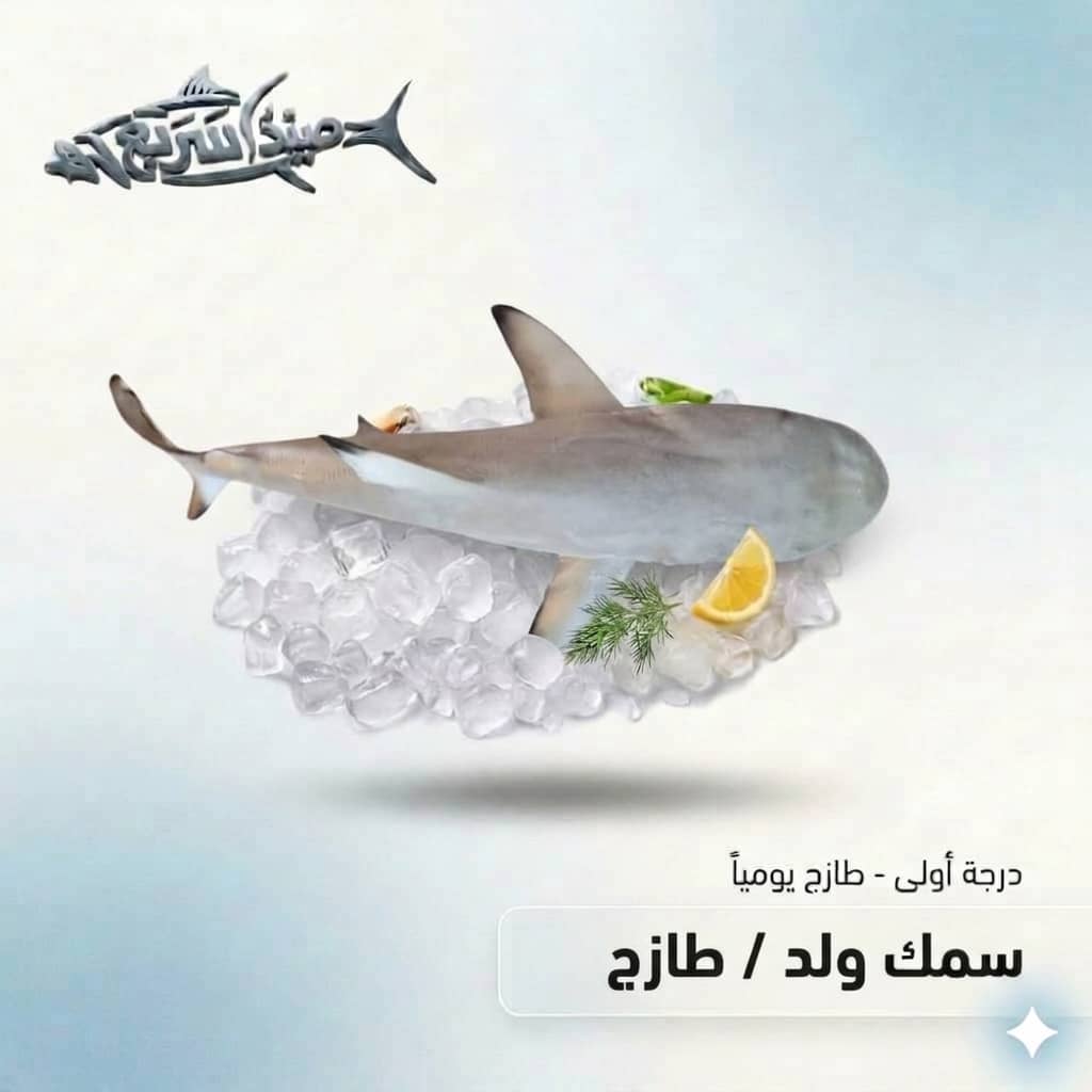 سمك ولد كامل