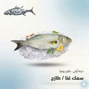 سمك غناء كامل