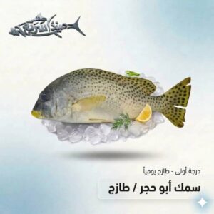 سمك ابو حجر كامل