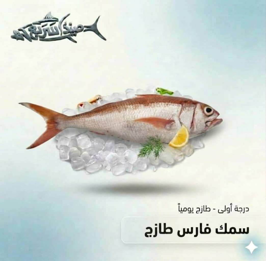 سمك فارس كامل