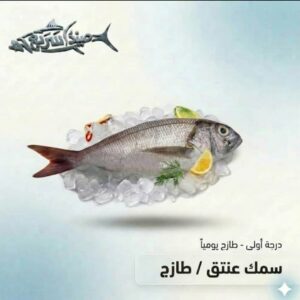 سمك عنتق كامل