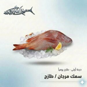 سمك مرجان كامل