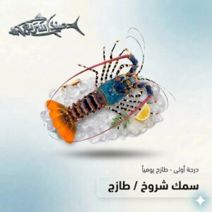 شروخ